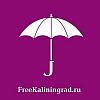 Портал «Free Kaliningrad»