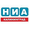«НИА — Калининград»