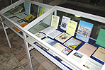 'Выставка Библиотечная жизнь России 2009-2011'. Издания библиотек.